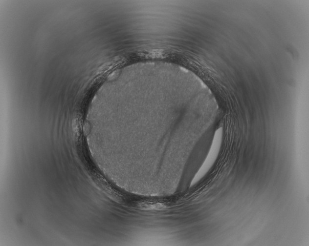 X0000112430747200909251536