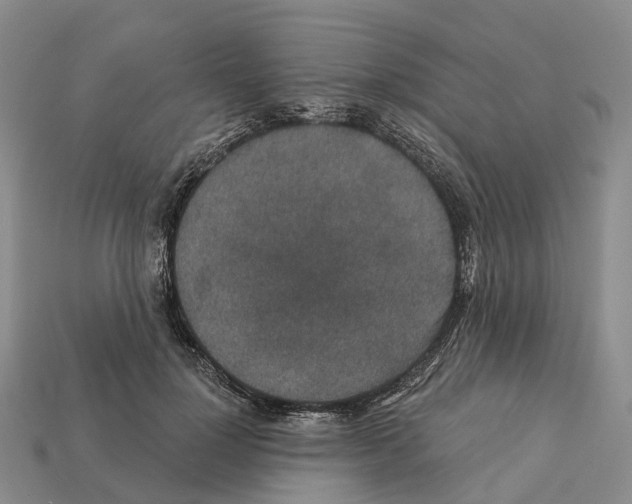 X0000112430748200909251536