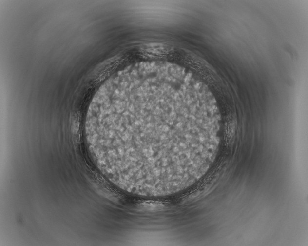 X0000112430749200909251536