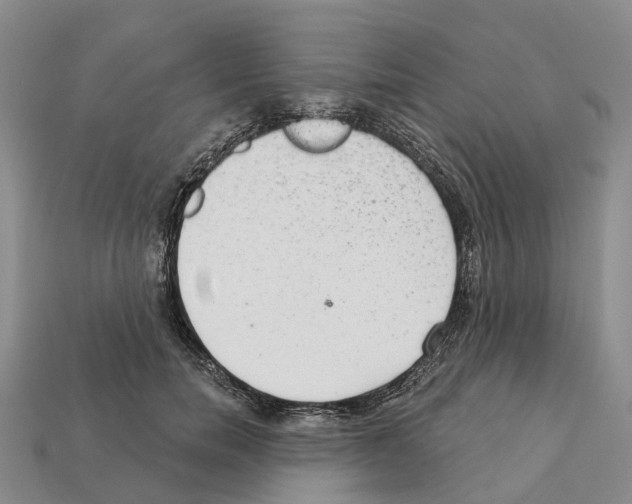 X0000112430750200909251536