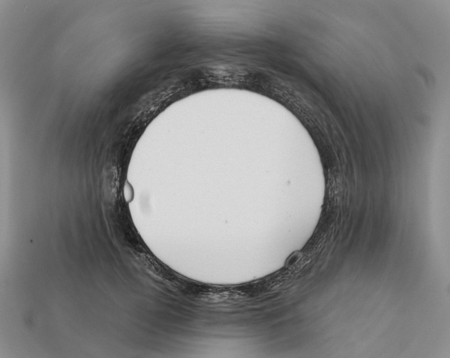 X0000112430752200909251536