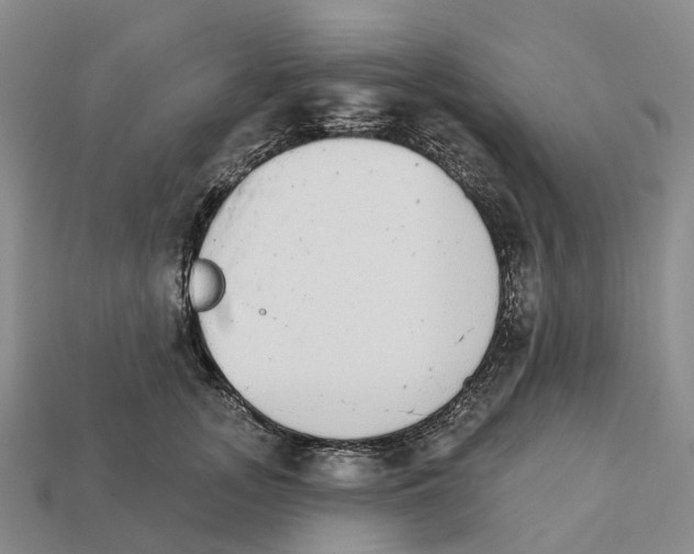 X0000112430755200909251536