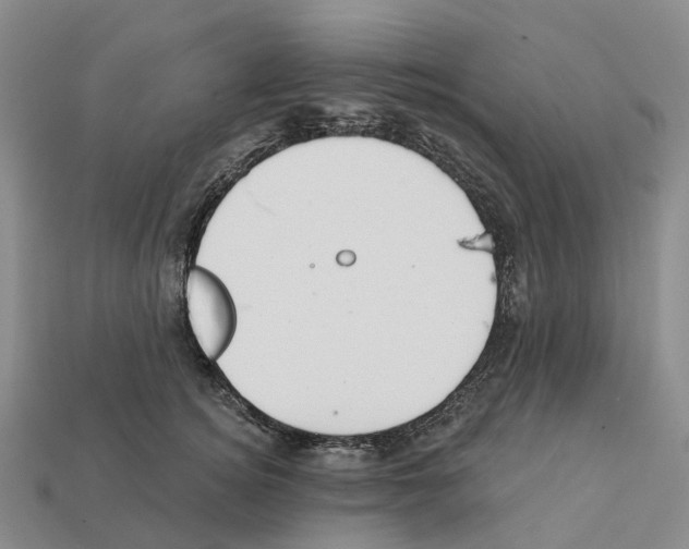 X0000112430756200909251536