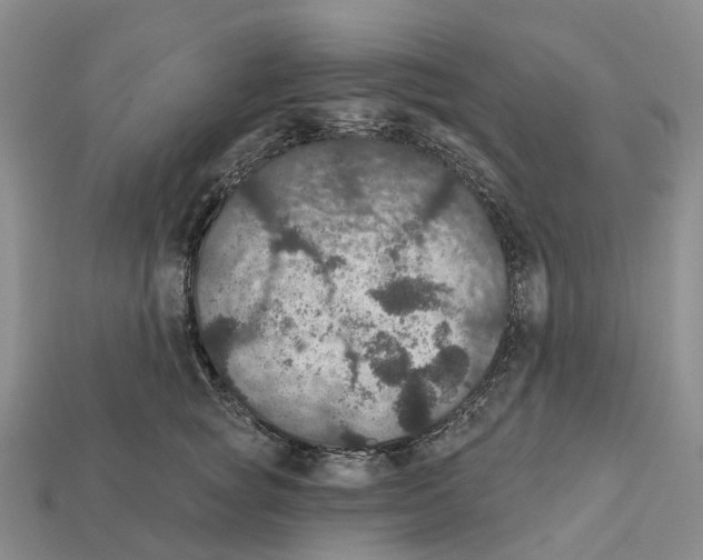 X0000112430757200909251536