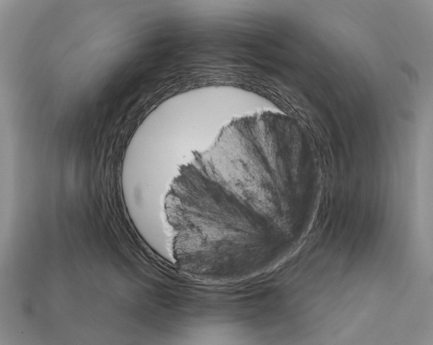 X0000112430758200909251536