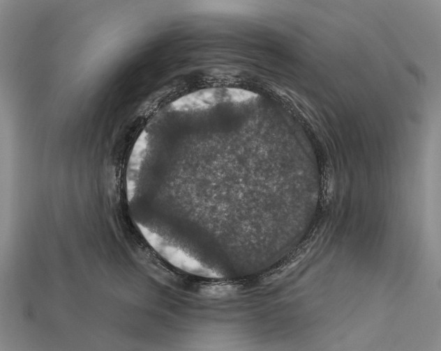 X0000112430759200909251537