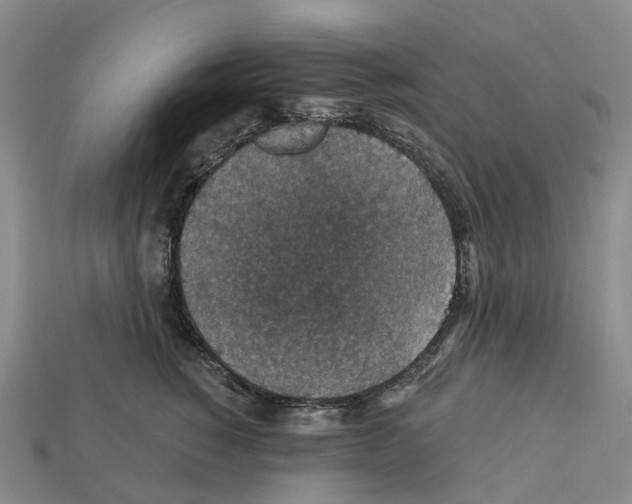 X0000112430760200909251537