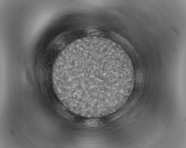 X0000112430761200909251537