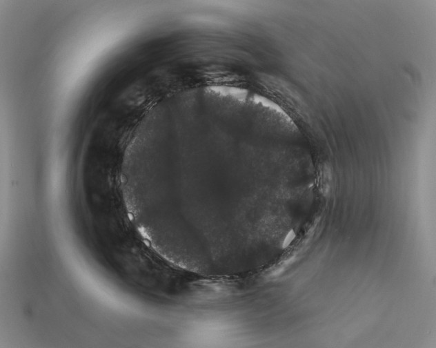 X0000112430763200909251537