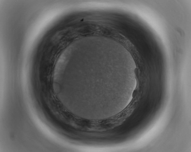 X0000112430766200909251537
