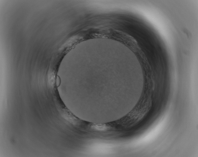 X0000112430767200909251537