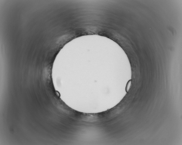 X0000112430768200909251537
