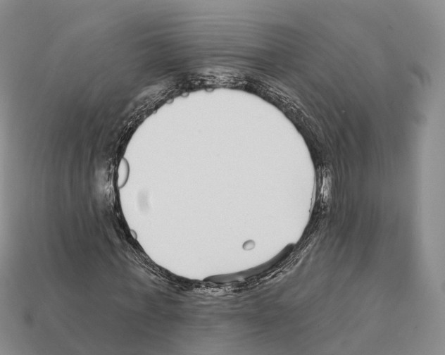 X0000112430771200909251536