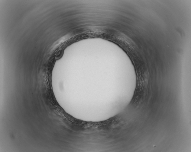 X0000112430773200909251536