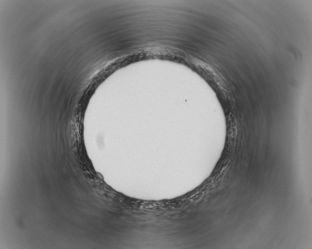 X0000112430776200909251536
