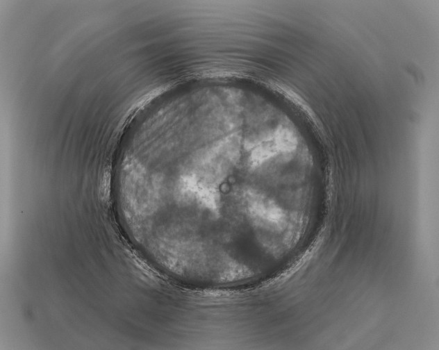 X0000112430777200909251536
