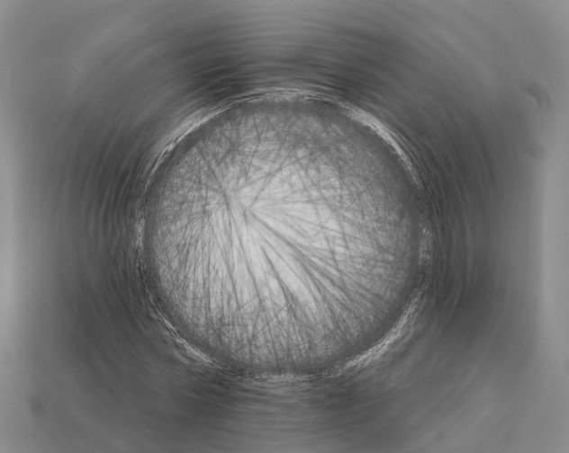 X0000112430778200909251536