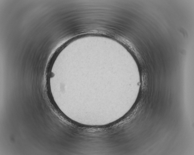X0000112430780200909251536