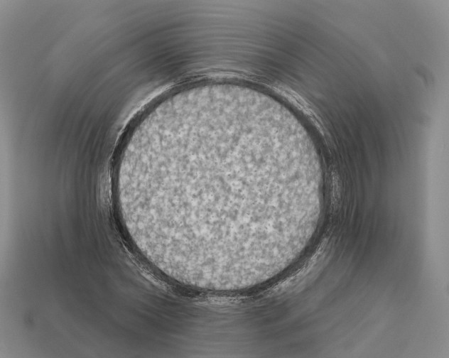 X0000112430782200909251536