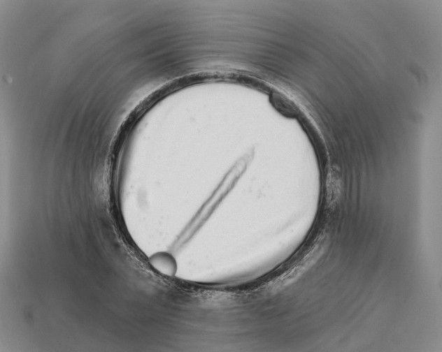 X0000112430783200909251536