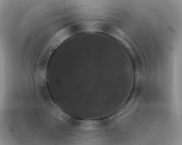 X0000112430785200909251536
