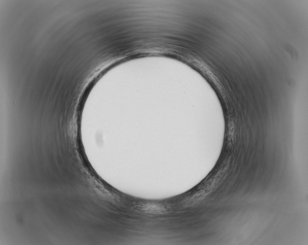 X0000112430787200909251536