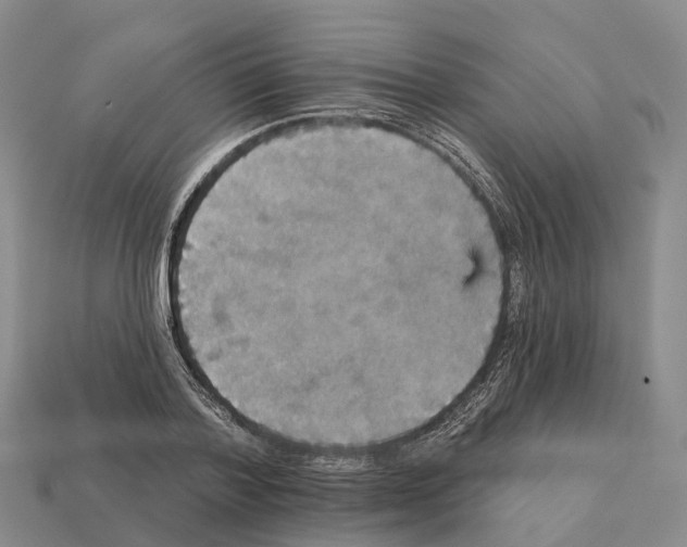 X0000112430788200909251536