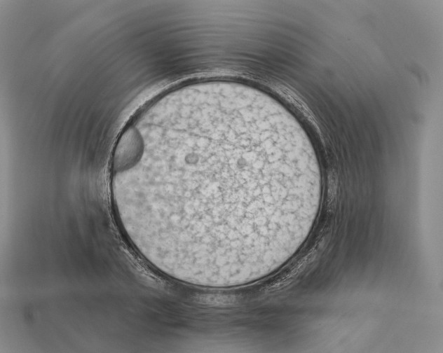 X0000112430789200909251536