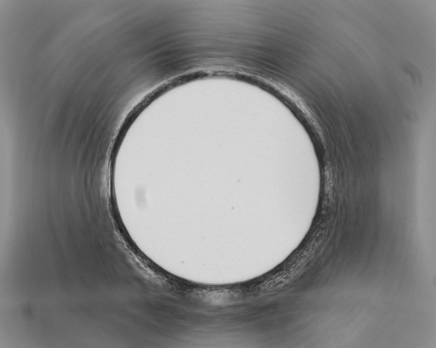 X0000112430791200909251536