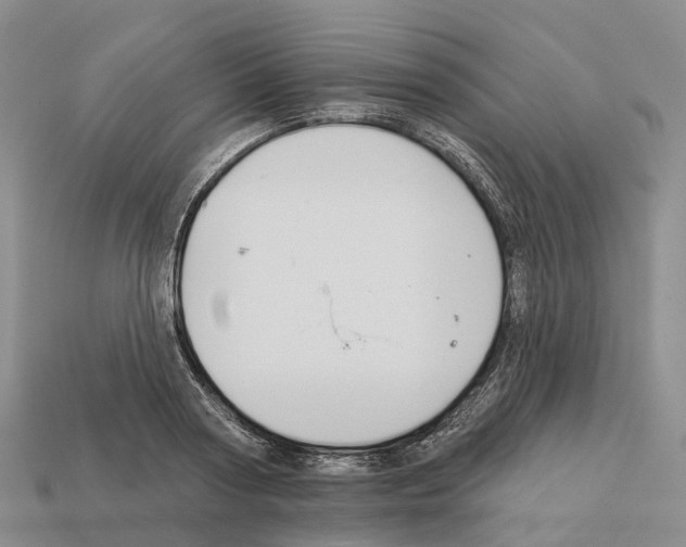 X0000112430794200909251536