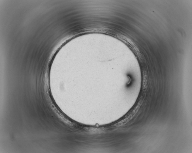 X0000112430796200909251535
