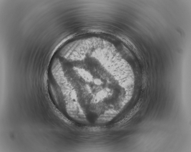 X0000112430798200909251535