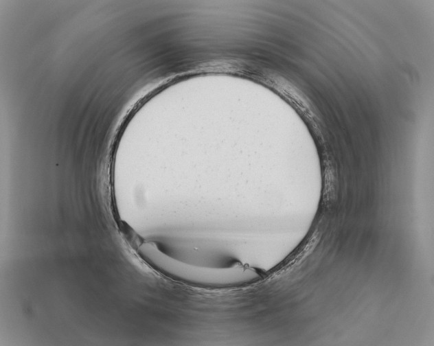 X0000112430800200909251535