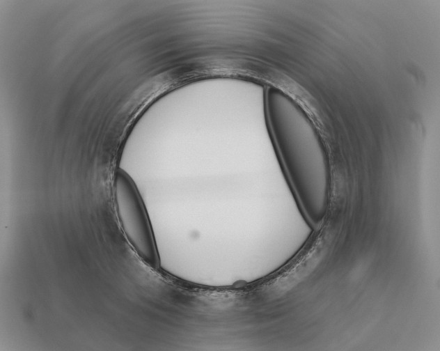 X0000112430801200909251535