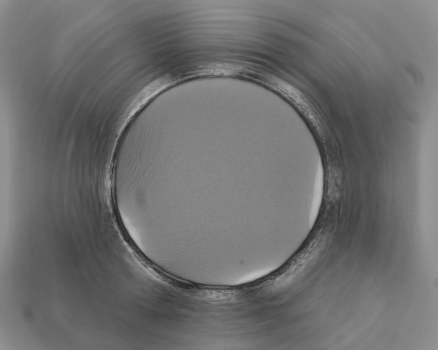 X0000112430802200909251535
