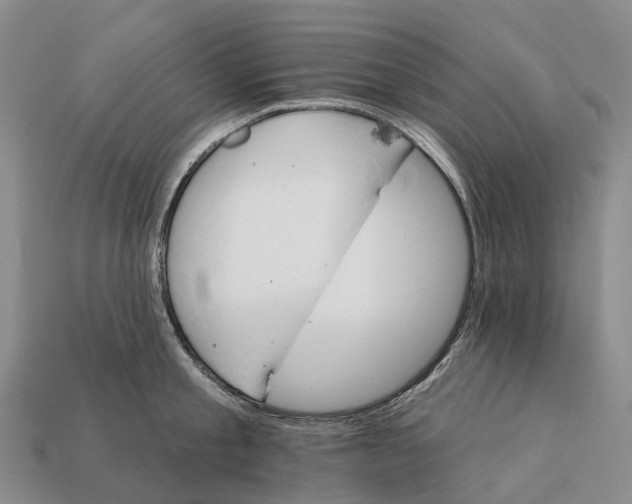 X0000112430805200909251535