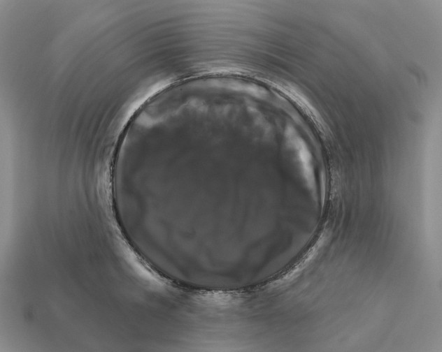 X0000112430806200909251535