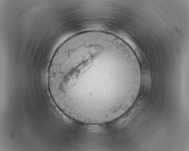 X0000112430807200909251535
