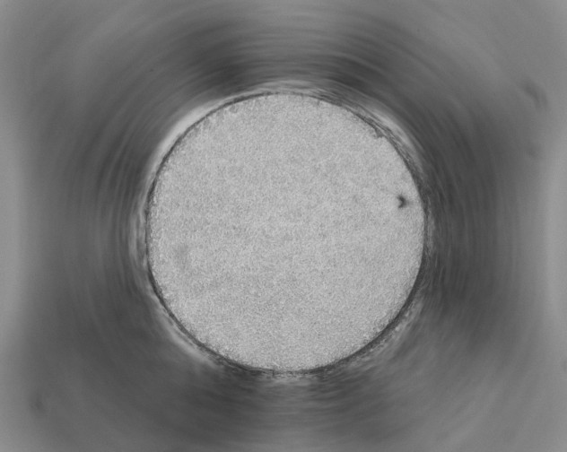 X0000112430808200909251535