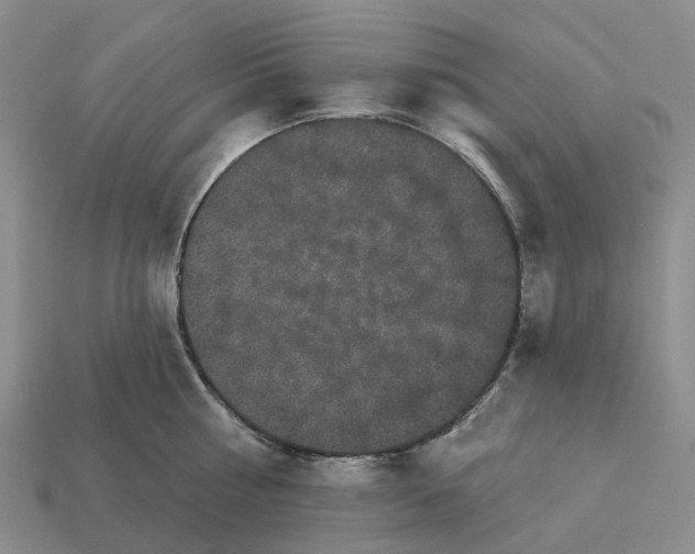 X0000112430810200909251535