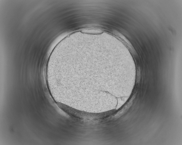 X0000112430812200909251535