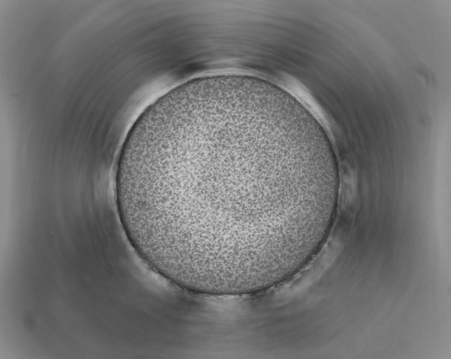 X0000112430813200909251535