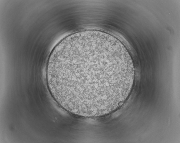 X0000112430814200909251535