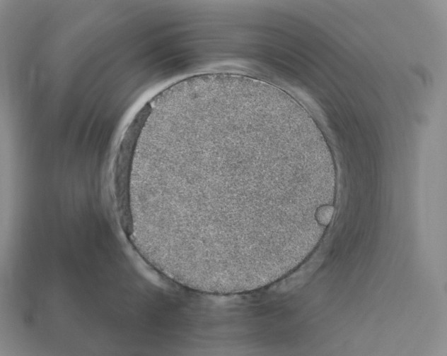 X0000112430816200909251535