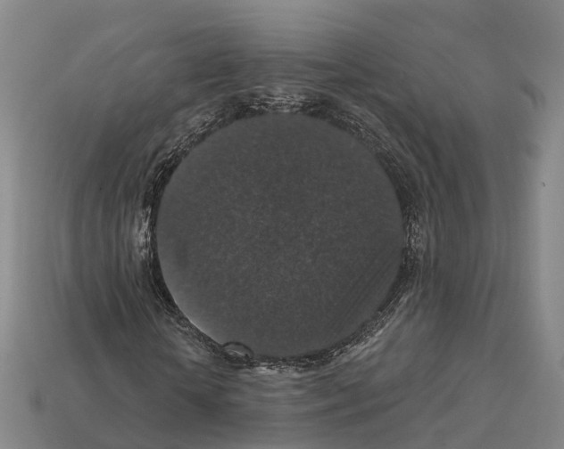 X0000112430818200909251534
