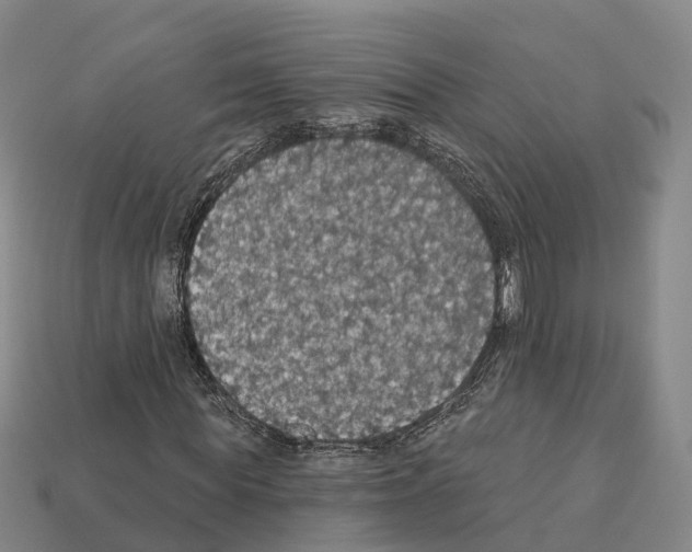 X0000112430819200909251534