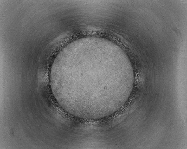 X0000112430820200909251534
