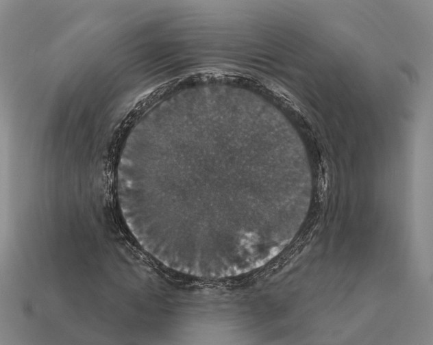 X0000112430822200909251534