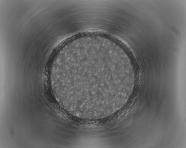 X0000112430823200909251534