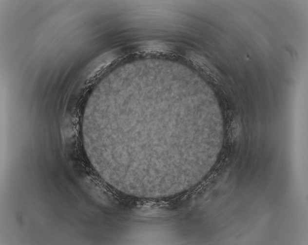 X0000112430824200909251534